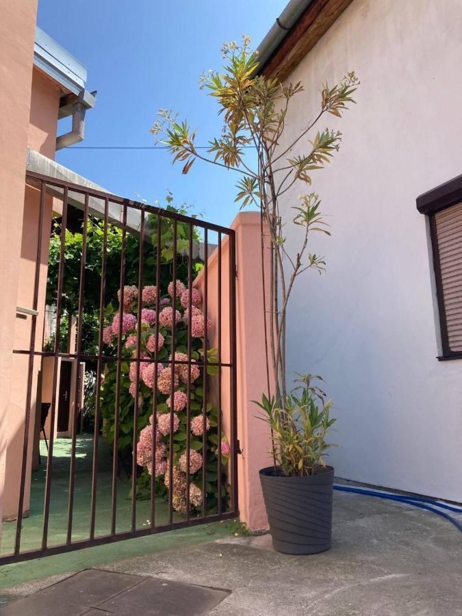 Apartment Dunja Center Welcome Novi Sad Exterior foto